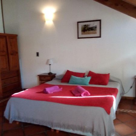 Departamento En Apart Pequena Comarca Apartman San Martín de los Andes Kültér fotó